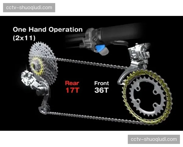 多国山地自行车协会公布2026年国家队选拔标准