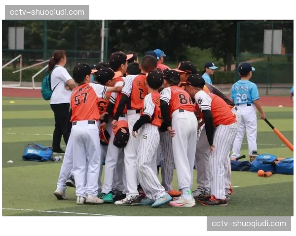 残障人士软式垒球锦标赛在日本东京成功举办